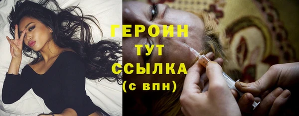 прущие грибы Абаза