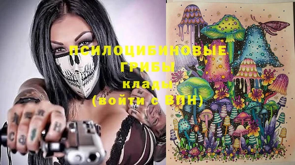 прущие грибы Абаза
