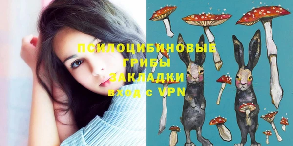ПСИЛОЦИБИНОВЫЕ ГРИБЫ Абдулино