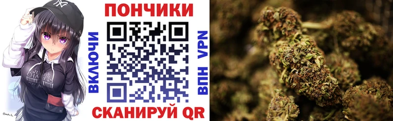 как найти закладки Щучье Шишки марихуана конопля